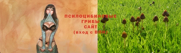 эйфоретик Алексеевка
