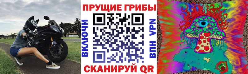 Галлюциногенные грибы Magic Shrooms  Чайковский 